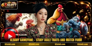 Albany Gamefowl - Study Agile Traits And Match Form