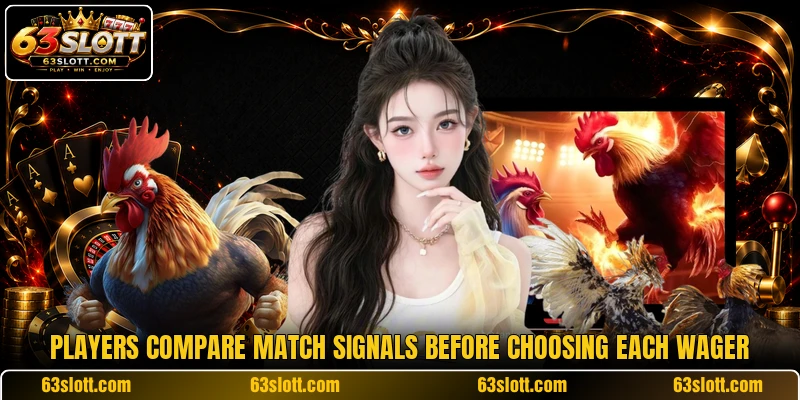 Players compare match signals before choosing each wager