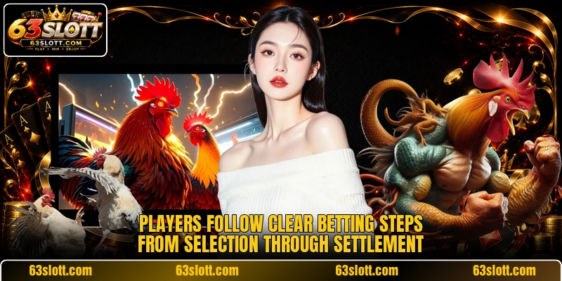 Players follow clear betting steps from selection through settlement